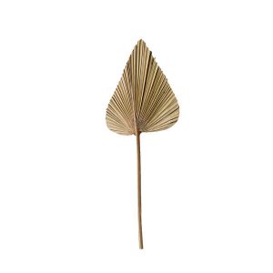 Palmblad PLANTAE 20x50cm – Naturel