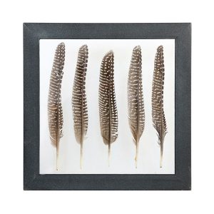 HKliving fazantenveren frame – Bruin OP=OP